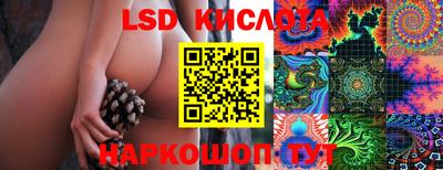 крисы Малоярославец