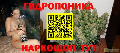 крисы Малоярославец