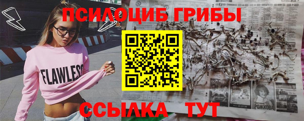 Видное  Псилоцибиновые грибы Psilocybine cubensis  Псилоцибиновые грибы Magic Shrooms  Вход с VPN 